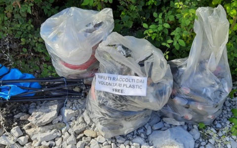 Volontariato ambientale sulle spiagge del lago