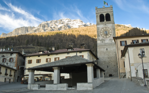 Adotta una zolla per il bene dell’oratorio