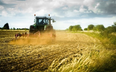 Agricoltore 57enne perde la vita nei campi tra Ospedaletto e Livraga