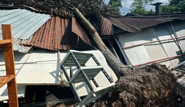 Albero cade e danneggia la cucina: via alla raccolta fondi per la riapertura