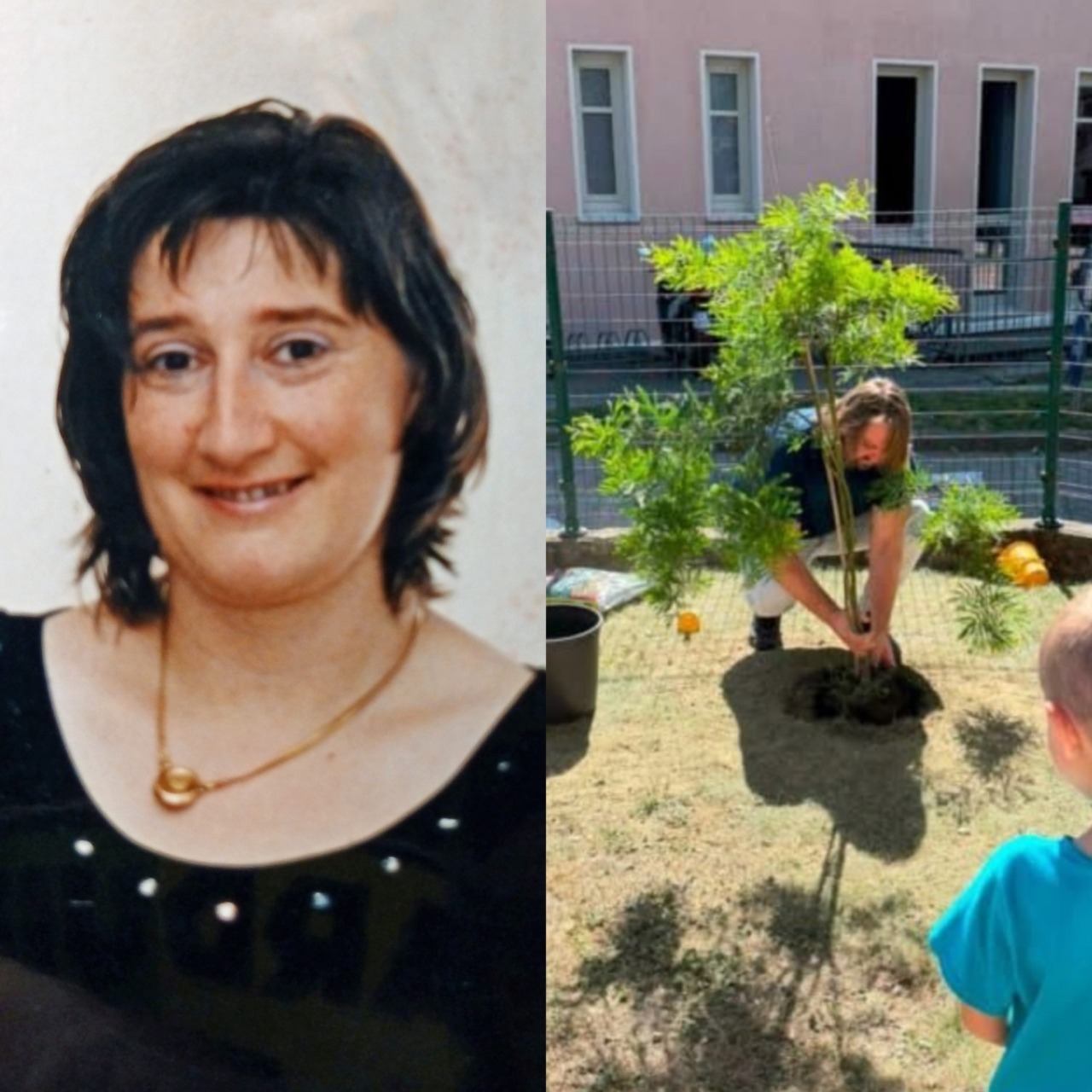 Alla materna di Pavone una mimosa in ricordo della maestra Antonella Favetto