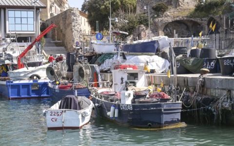 Allarme pesca, Confcooperative: “l’intero settore è a rischio”