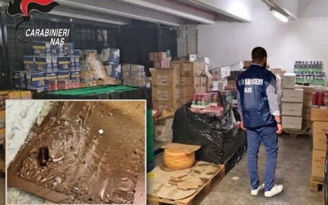 Ancora scarsa igiene, chiuso il magazzino del supermercato Carrefour di via Isonzo: “Blatte, escrementi e carcasse di topi”