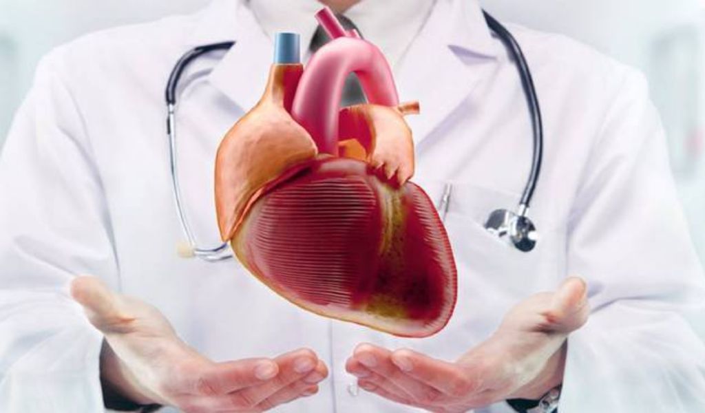 ASST Pavia cerca cardiologi: aperto il concorso per due dirigenti medici a Voghera