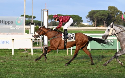 Capannelle, via libera alla ripartenza. Zètema accreditata per gestire le corse