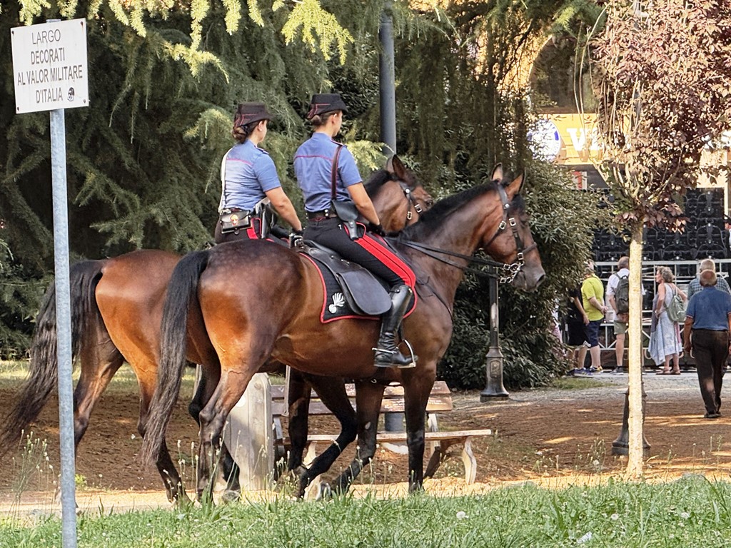 Carabinieri a cavallo nei boschi del Biellese: smantellato un bivacco dello spaccio