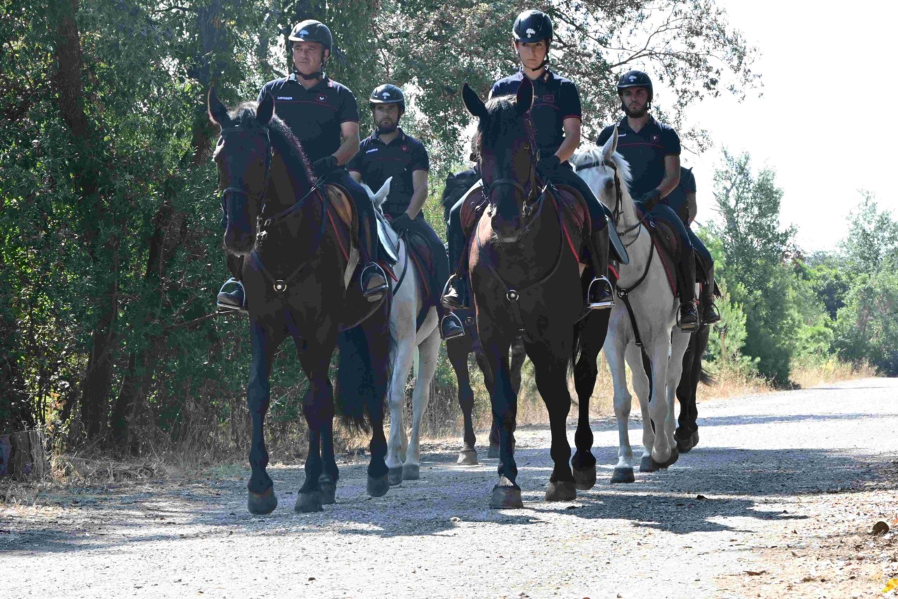 Castel Fusano, maxi blitz contro degrado e abusivi