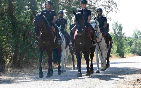 Castel Fusano, maxi blitz contro degrado e abusivi