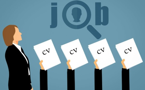 Cerchi lavoro? Scopri le offerte attive a Pavia e provincia (11 – 17 giugno 2026)