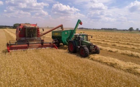 Clima e agricoltura: approvato in Europa il regolamento sulle Tecniche di Evoluzione Assistita