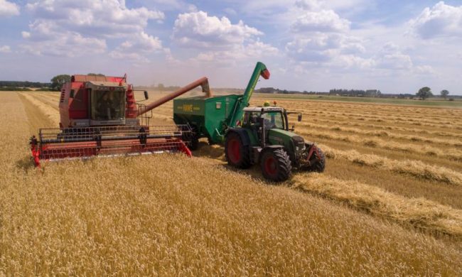 Clima e agricoltura: approvato in Europa il regolamento sulle Tecniche di Evoluzione Assistita