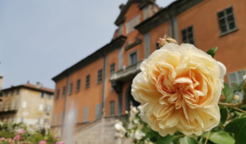 Clima e biodiversità: all’Orto Botanico di Pavia la Festa del Solstizio d’estate