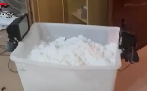 Cocaina tra il Sud America e il litorale, arrestati altri 8 componenti dell’organizzazione