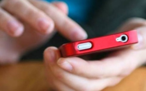 Furto di cellulare a Ostiglia: identificato e denunciato un trentaseienne
