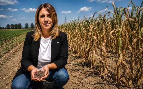 Il grande caldo mette in ginocchio l’agricoltura