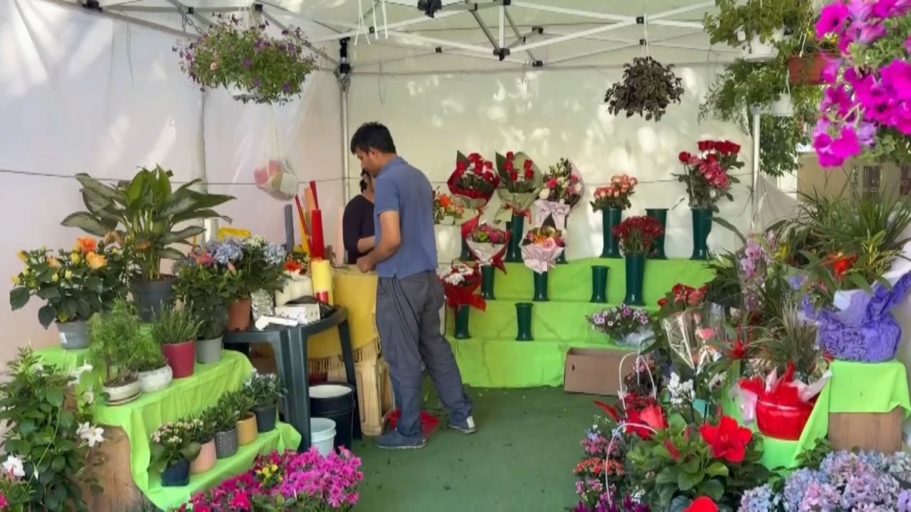 La “rinascita” di Shompa e Shamal: nuova struttura per il negozio di piante e fiori