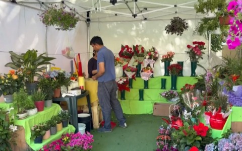 La “rinascita” di Shompa e Shamal: nuova struttura per il negozio di piante e fiori