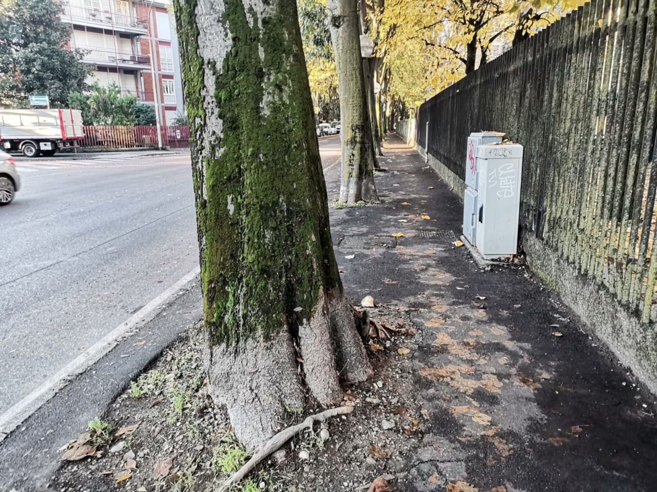 L’Amministrazione ha sciolto le riserve sul futuro di via Don Sturzo e sulla difficile scelta se salvare alberi, ciclabile o parcheggi