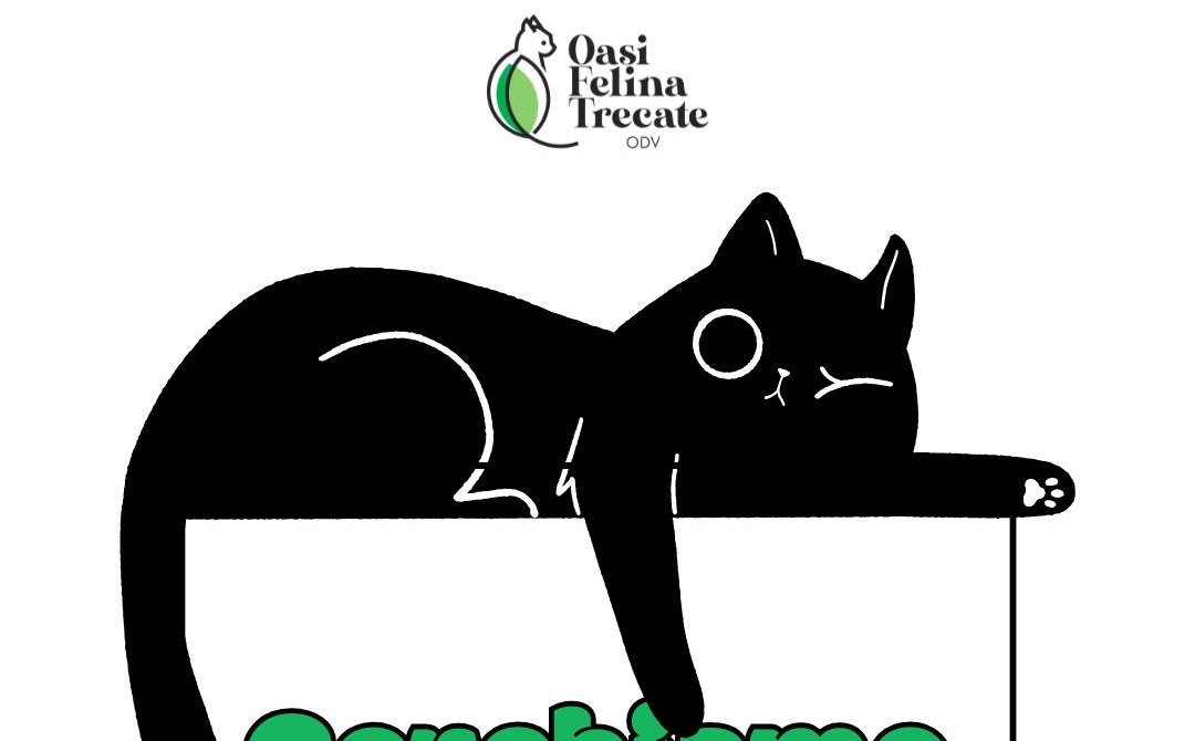 L’Oasi Felina di Trecate cerca volontari