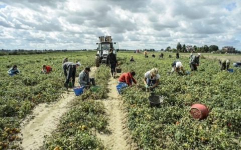 Lotta al Caporalato, l’impegno del Comune