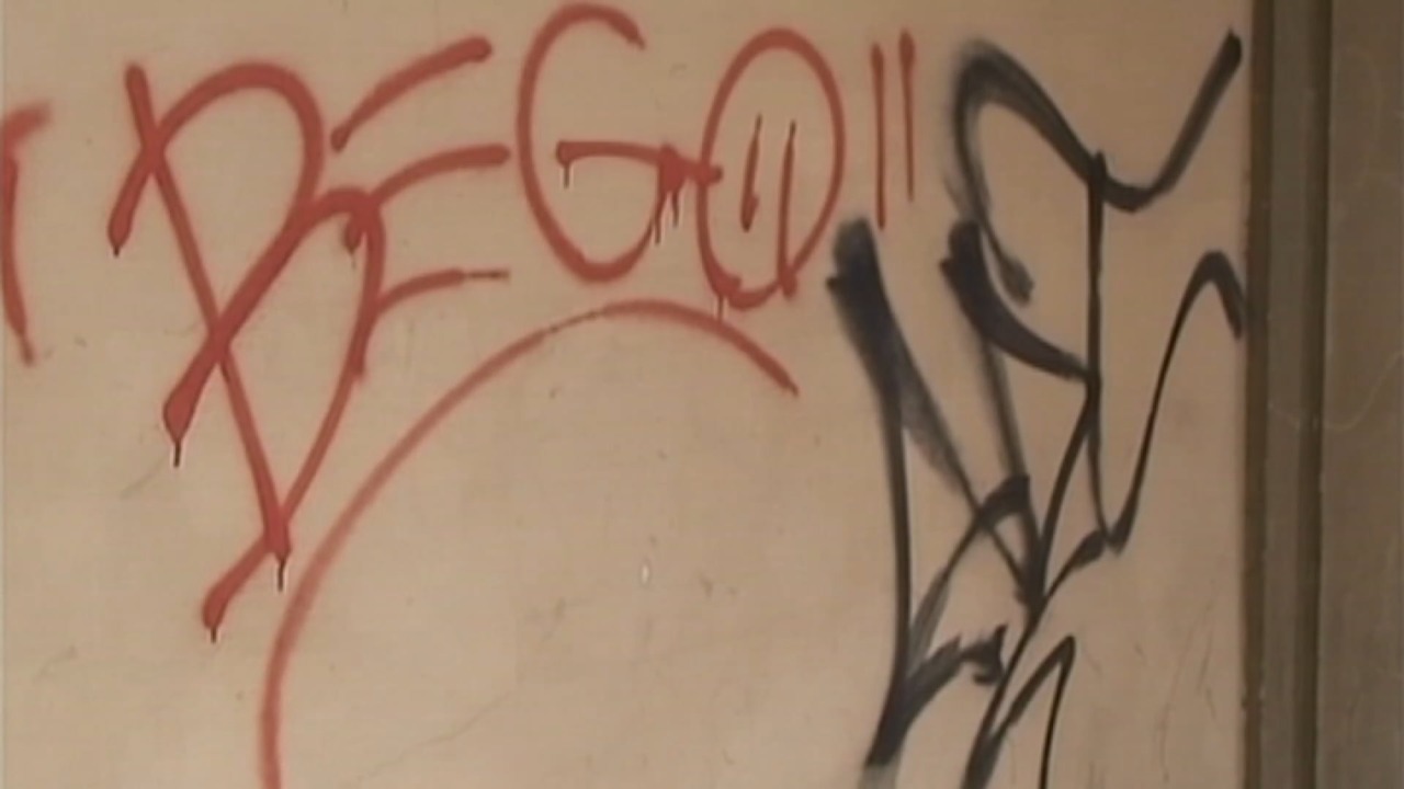 Lucia Borgonzoni:  “Potenziamo la tutela di portici e beni culturali dai graffiti”