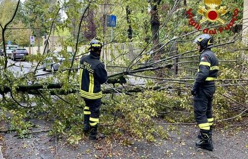 Maltempo: alberi e rami caduti nella Capitale, oltre 50 interventi di Vigili del Fuoco e Polizia Locale
