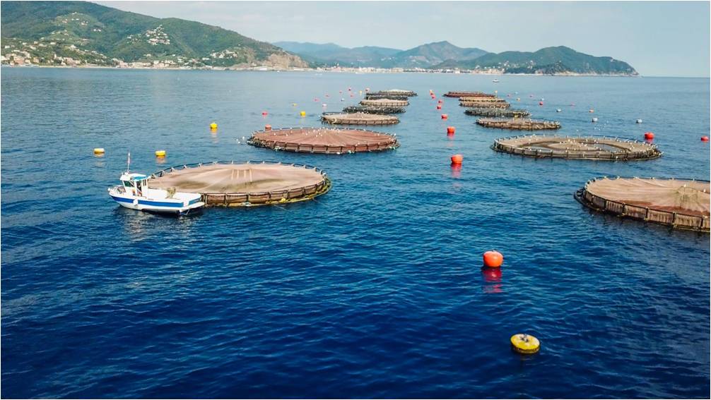 Maricoltura a Lavagna, Coldiretti: “Bene che le competenze siano tornate a Regione Liguria”