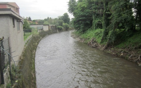 Nature Restoration Law: presentato un progetto per il ripristino ambientale del bacino del Seveso