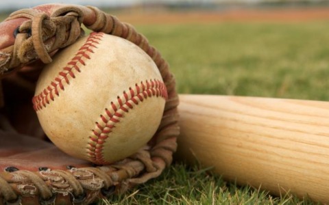 Novara ospiterà il Torneo finale della Little League Europe Africa