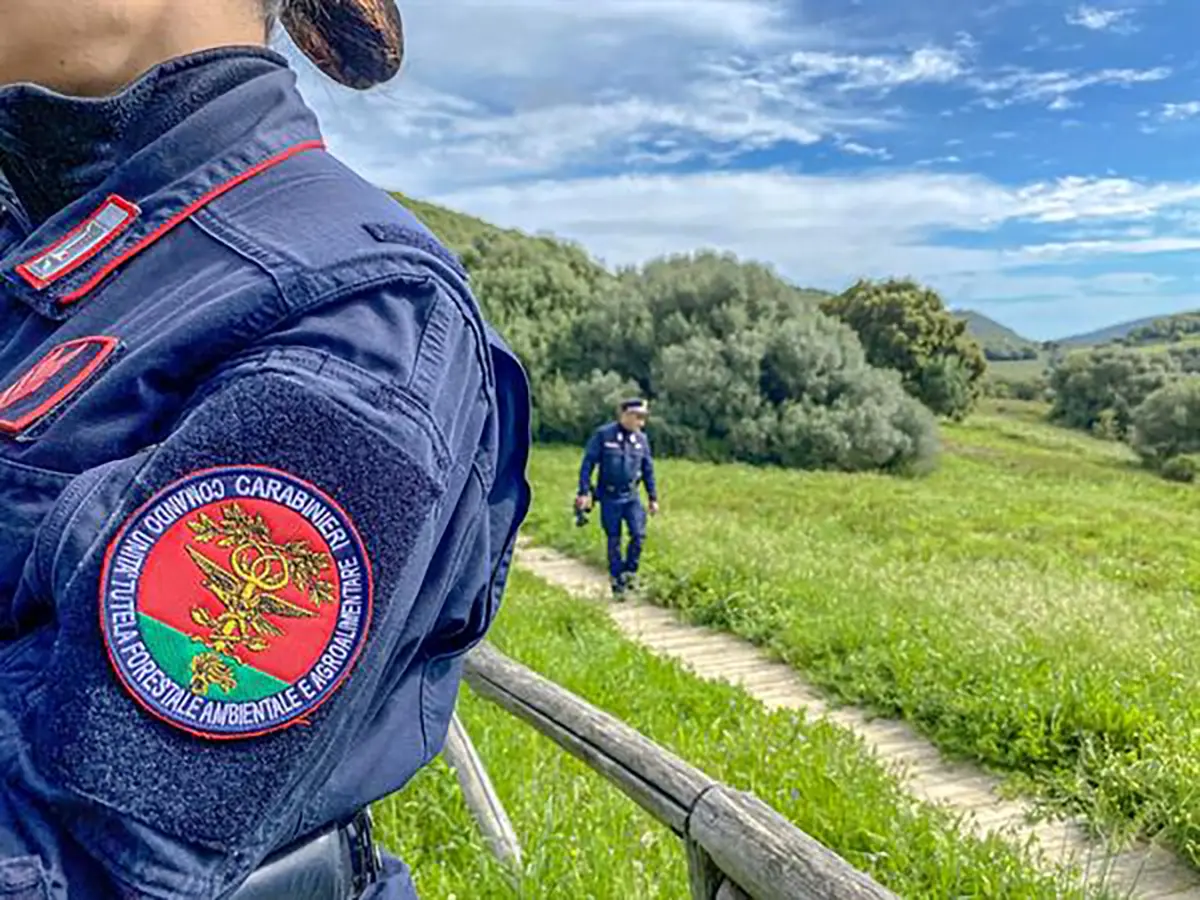 Orti cinesi a Prato, sequestrato un terreno di oltre 14 ettari