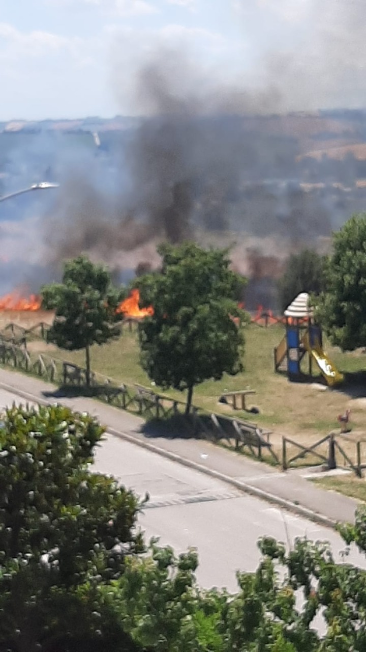 Osimo. Incendio di sterpaglie, evacuate alcune abitazioni