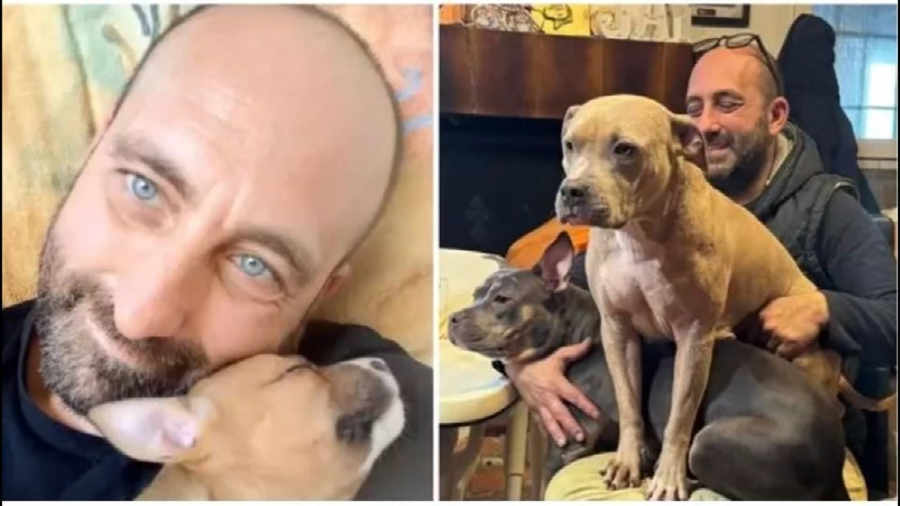 Padrone di 16 cani muore improvvisamente: ora sono adottabili
