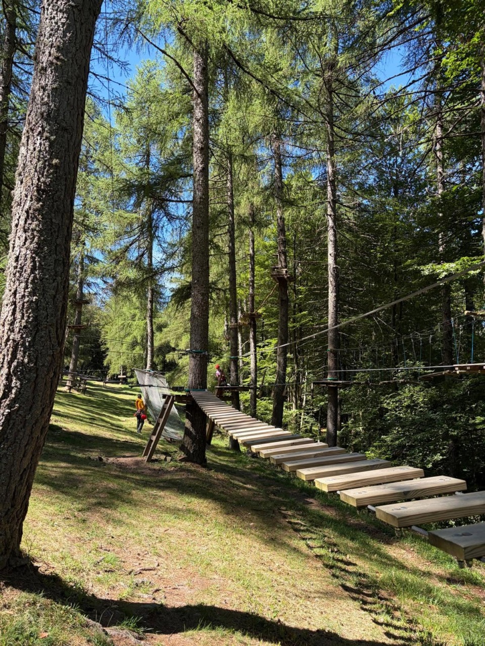 Parco avventura alle Betulle: nessuna chiusura, cambio di gestione