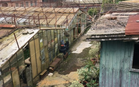 Parco Casale a Rapallo, approvata variante per il nuovo asilo nido al posto delle serre comunali