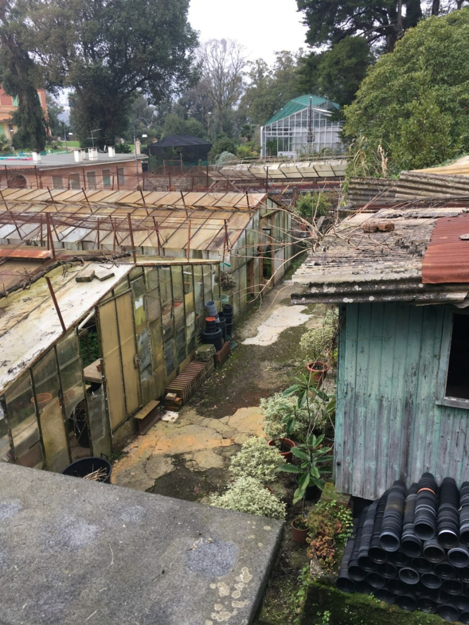Parco Casale a Rapallo, approvata variante per il nuovo asilo nido al posto delle serre comunali