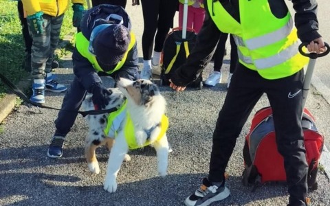 Piedibus,  si cercano  i volontari per il prossimo anno scolastico
