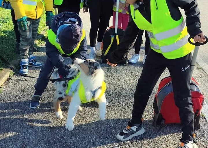 Piedibus,  si cercano  i volontari per il prossimo anno scolastico