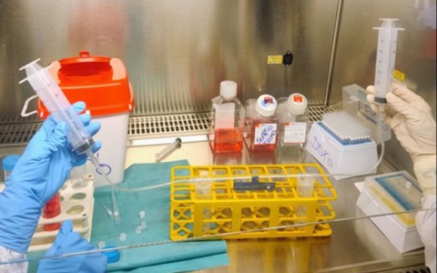 Quando la ricerca punta a nuove strategie contro i sarcomi ossei pediatrici