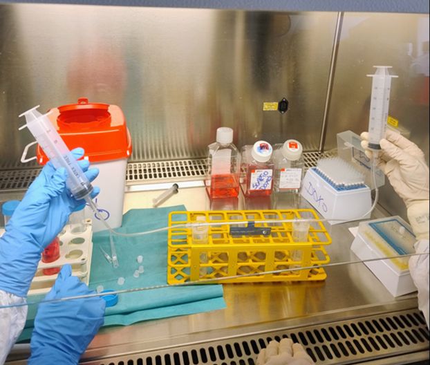 Quando la ricerca punta a nuove strategie contro i sarcomi ossei pediatrici