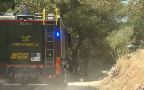 Quattro vittime in incidenti sul lavoro: un operaio forestale, un imprenditore travolto da un albero e due agricoltori
