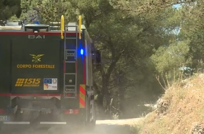 Quattro vittime in incidenti sul lavoro: un operaio forestale, un imprenditore travolto da un albero e due agricoltori