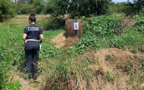 Ragazzi si tuffano nell’Olona, il sindaco ribadisce il divieto di balneazione