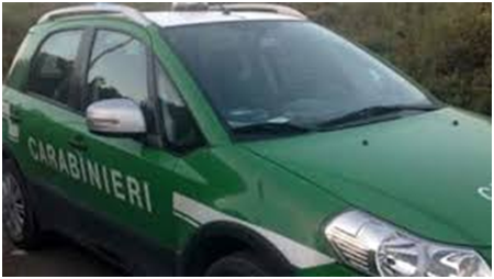 Rifiuti abbandonati su un terreno agricolo, scatta il sequestro