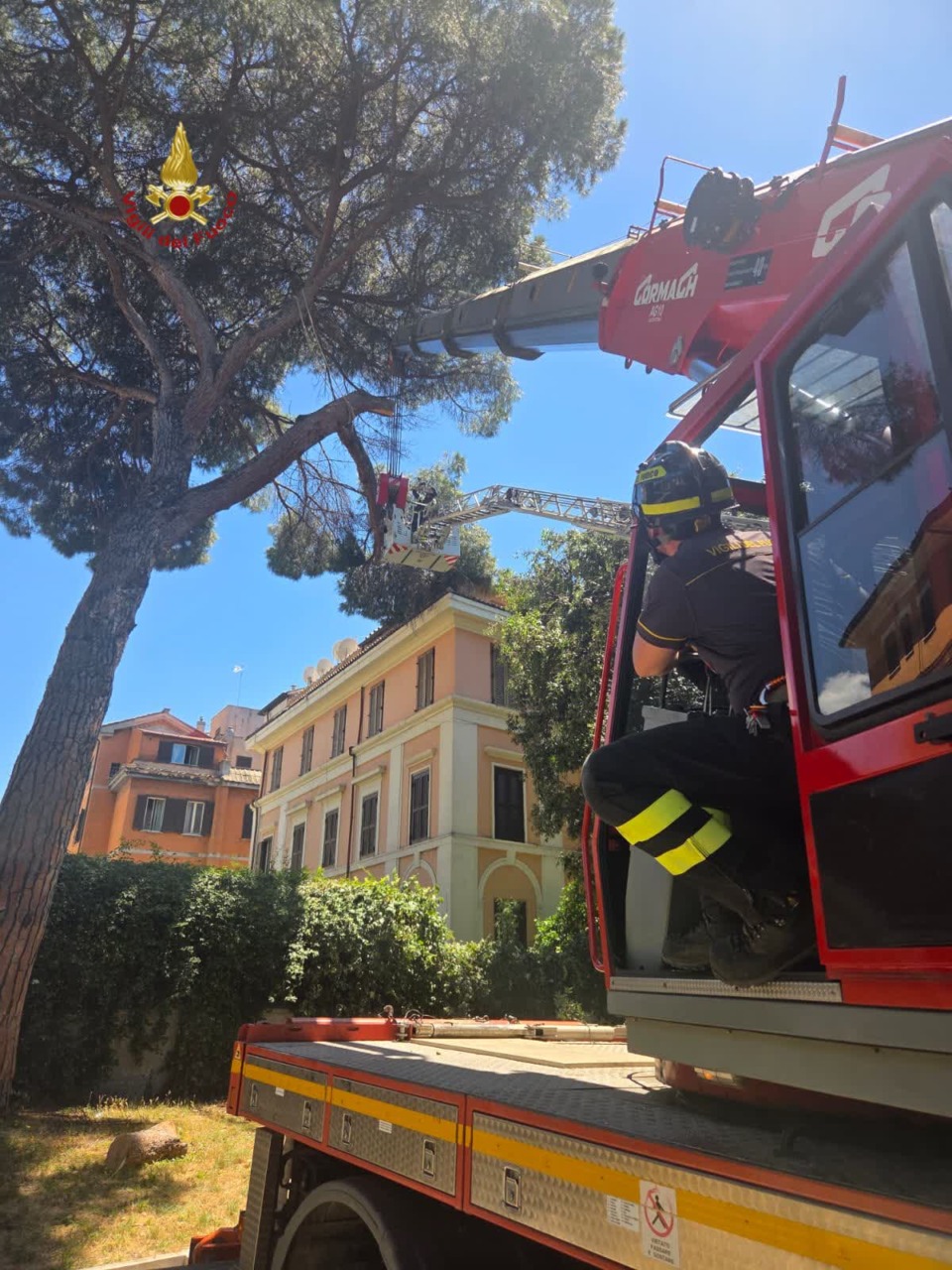 Rimosso ramo pericolante in via delle Terme di Traiano, nessun rischio per i cittadini