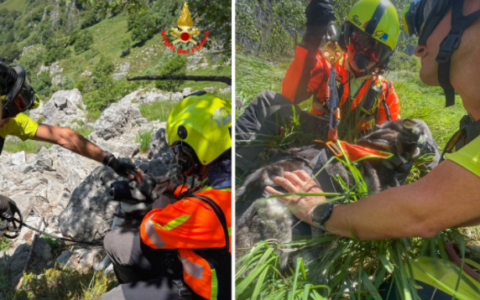 Ritrovati e salvati due husky dispersi ai sul Resegone VIDEO