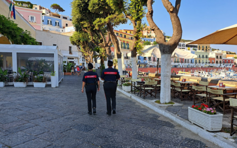 Sicurezza e tutela della salute pubblica, i controlli