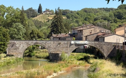 Solstizio nel segno dell’ortica a Sambuca Val di Pesa