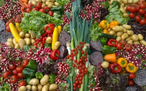 Stop agli sprechi, nasce la sinergia tra ATS e Banco Alimentare