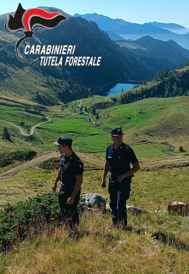 Tutela del paesaggio e abusi edilizi, da gennaio 2026 tredici persone denunciate nelle valli