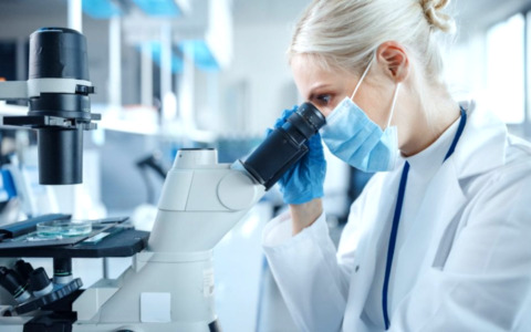 Università di Pavia, scoperta sul cervello: la memoria può guidare l’attenzione e compensare i danni neurologici